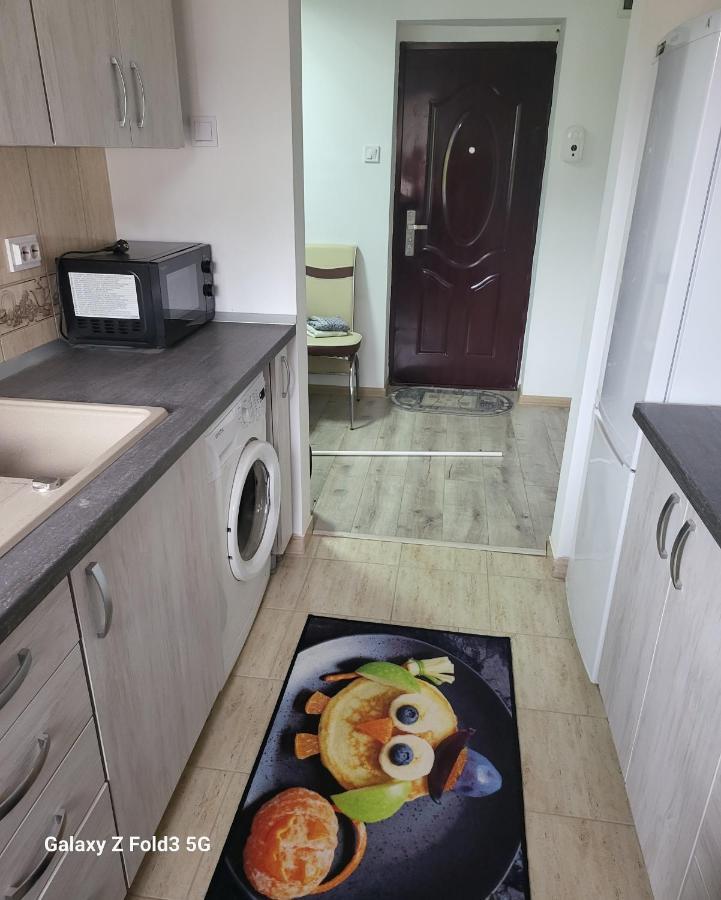 Ferienwohnung Apartament In Bucovina, Campulung Moldovenesc, Impecabil . Exterior foto