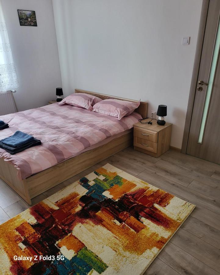 Ferienwohnung Apartament In Bucovina, Campulung Moldovenesc, Impecabil . Exterior foto